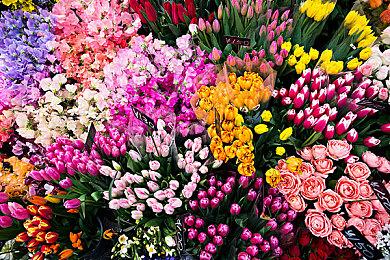 微软网站增加专题网页 详细介绍收购动视暴雪优点